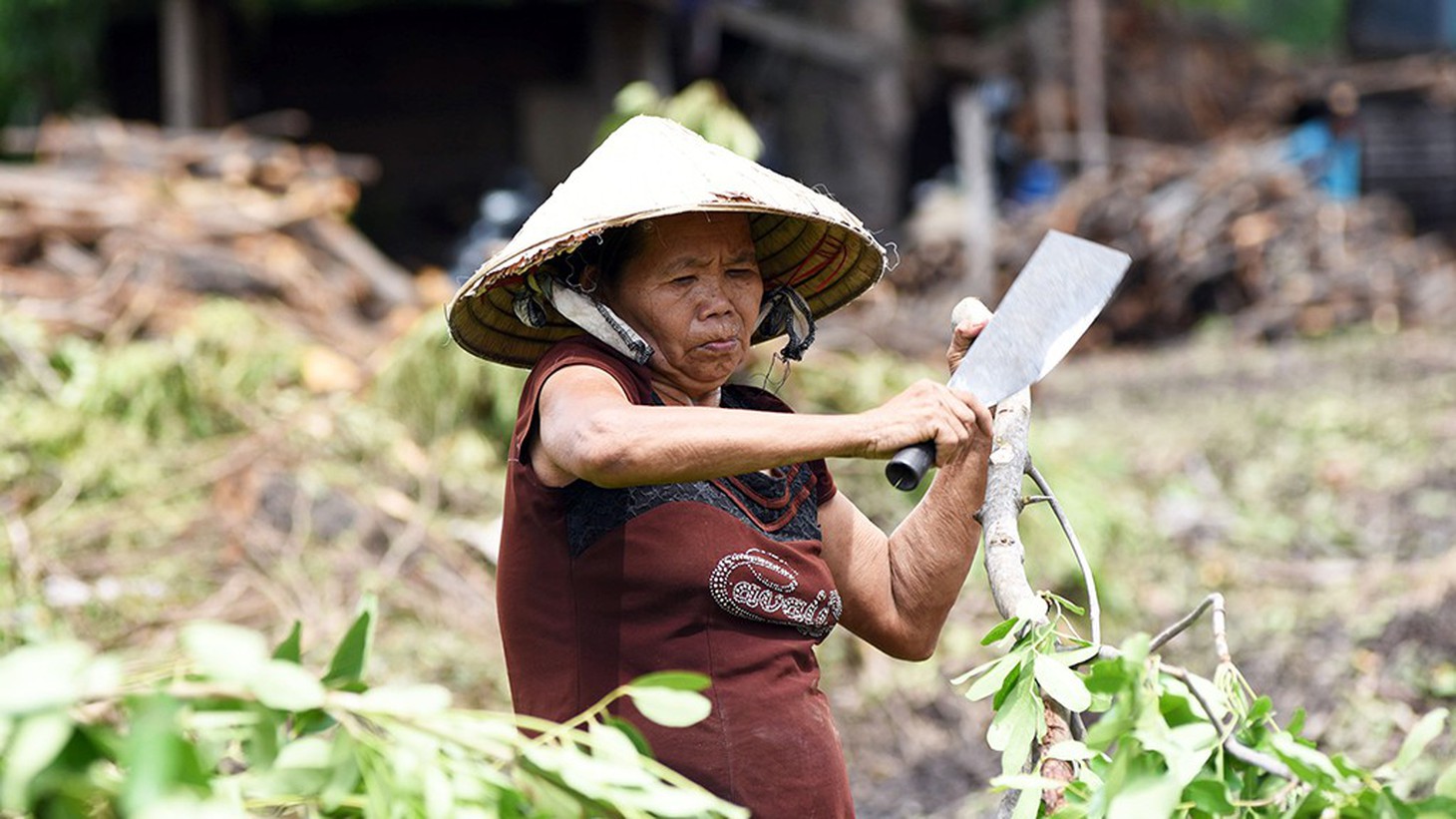 Mót củi giữa phố - Ảnh 4.