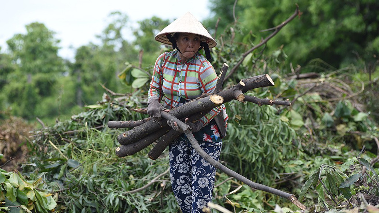 Mót củi giữa phố - Ảnh 1.