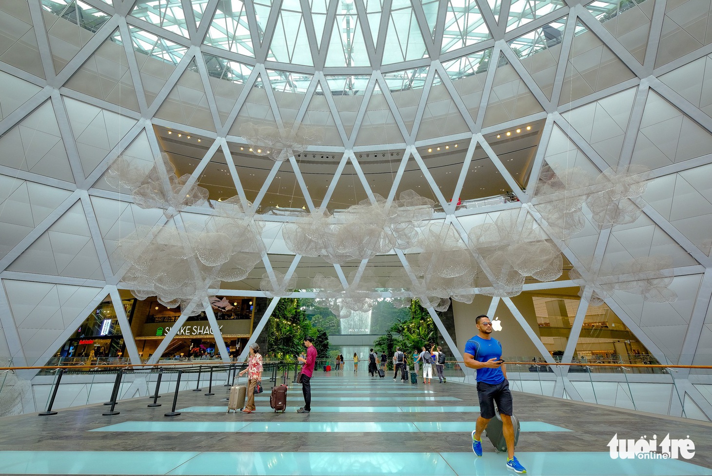 Lạc vào khu rừng bên trong sân bay Changi Singapore - Ảnh 10.