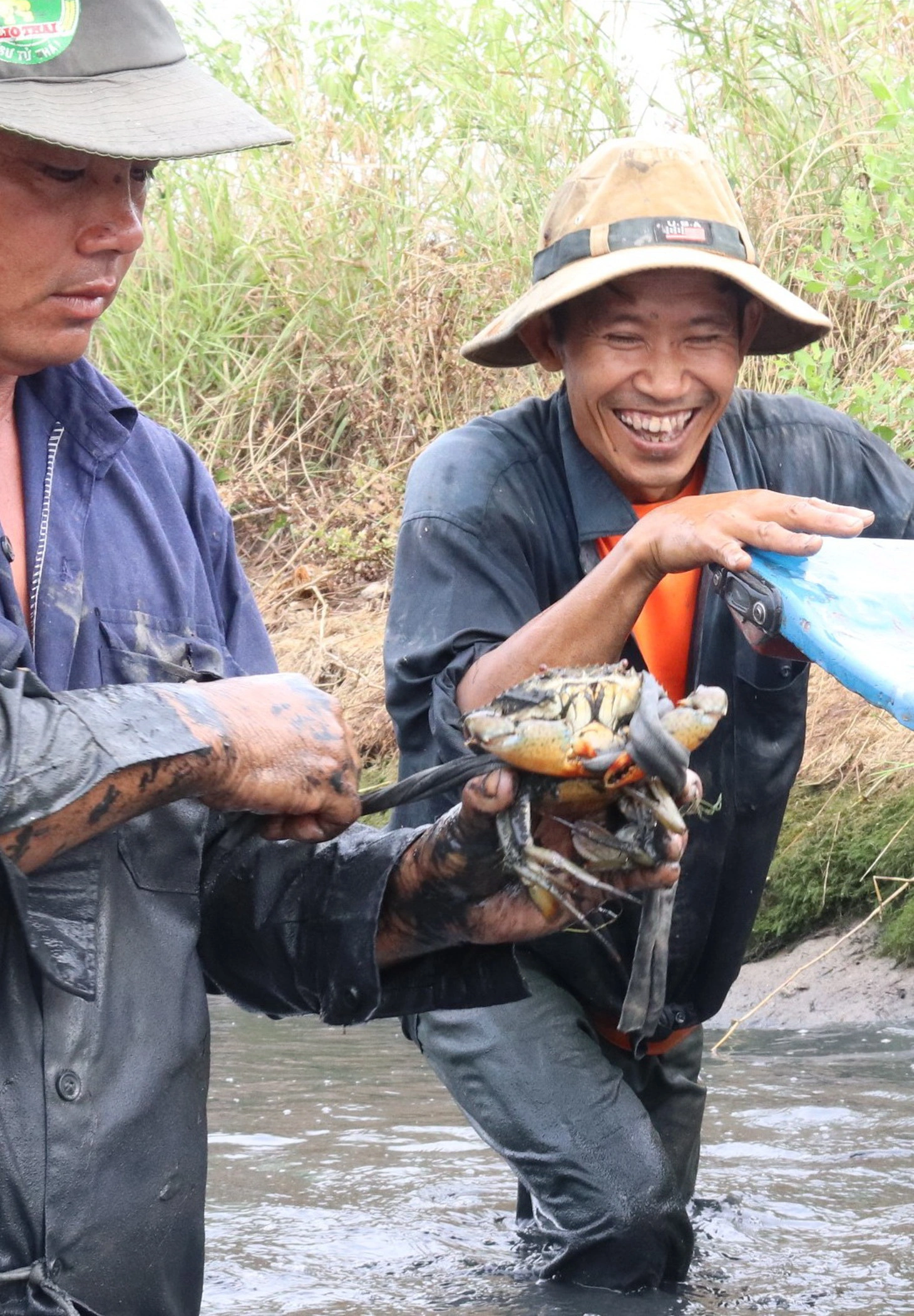 Được mùa tôm càng, năm nay ăn tết lớn rồi bây ơi - Ảnh 7.