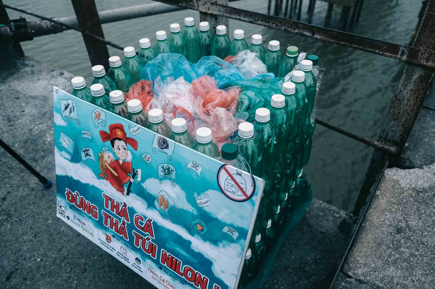 Thả cá chép, không thả túi nilông - Ảnh 4.