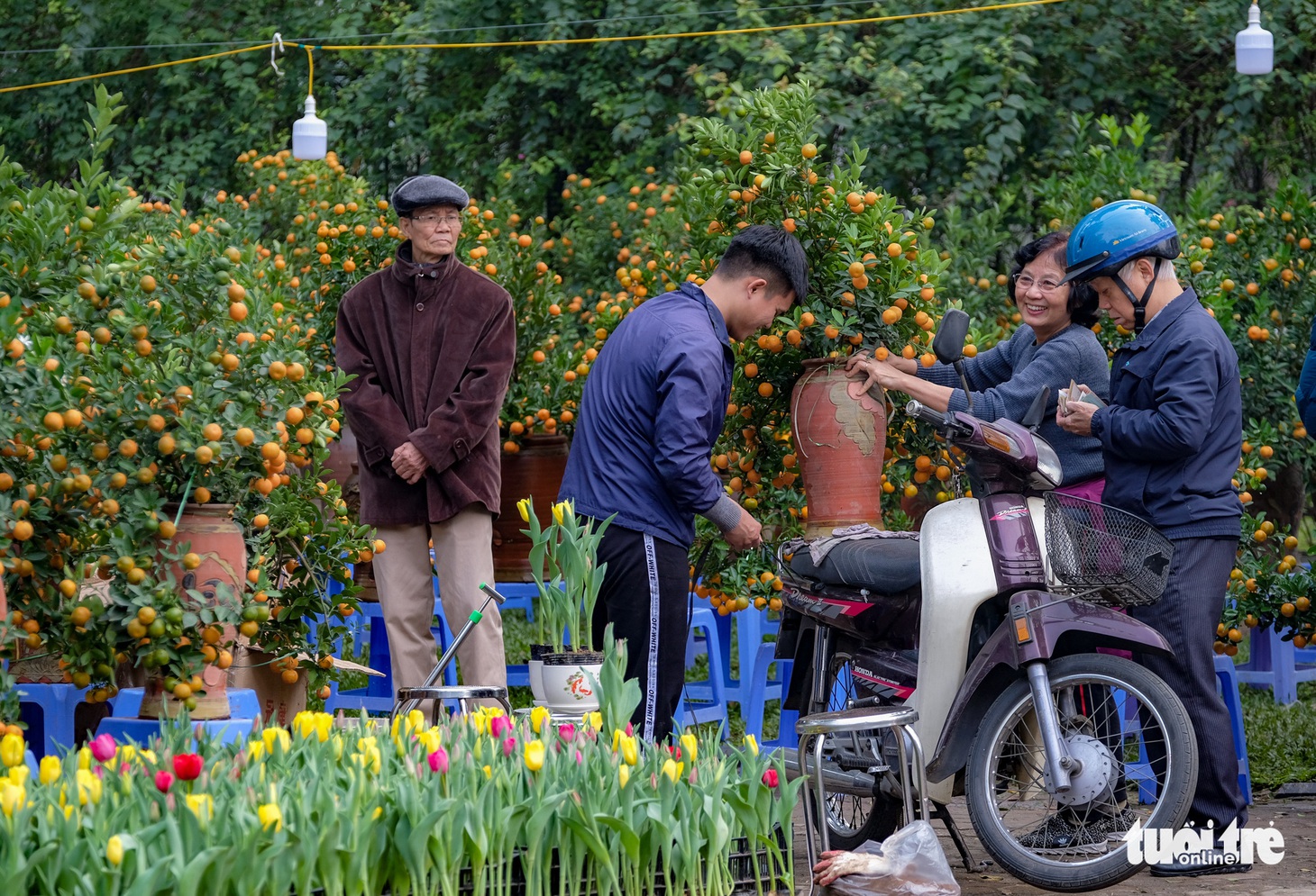 Tết Nguyên đán Canh Tý: Hà Nội chuột vàng, chuột đỏ khắp nơi - Ảnh 14.