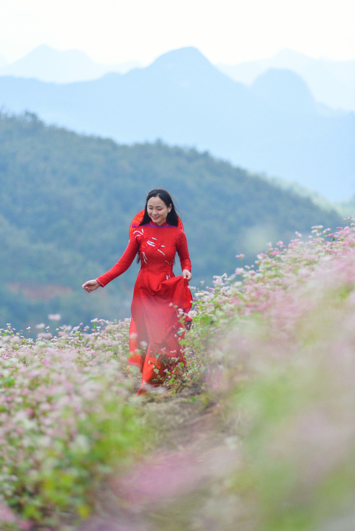 Cao nguyên đá Đồng Văn rực rỡ sắc hoa tam giác mạch - Ảnh 10.
