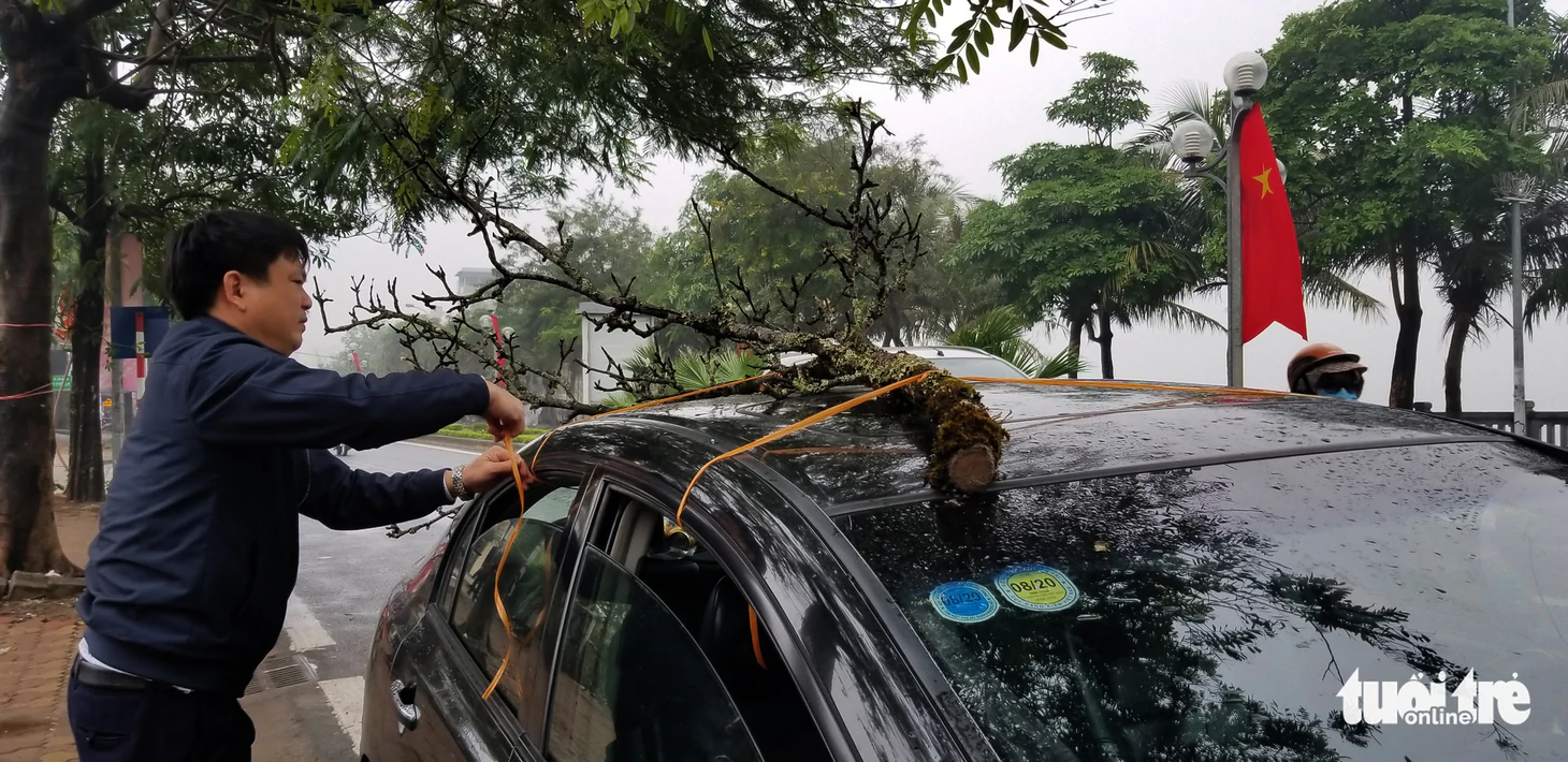 Cành lê trắng tinh khôi, giá tiền triệu hút khách thủ đô - Ảnh 8.