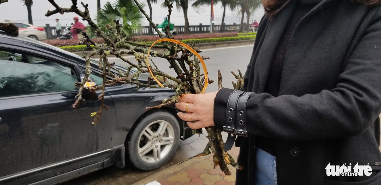 Cành lê trắng tinh khôi, giá tiền triệu hút khách thủ đô - Ảnh 9.