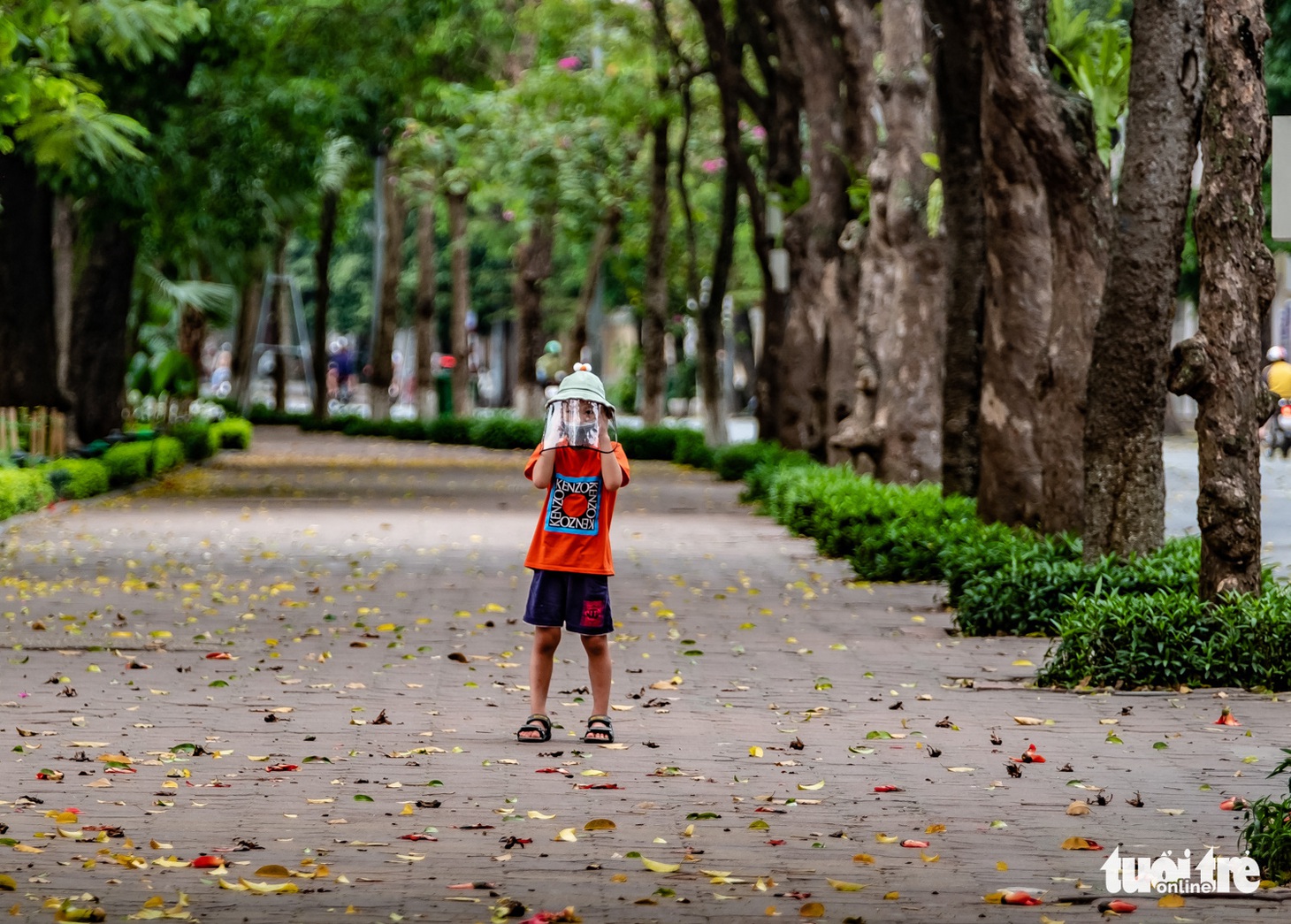 Hà Nội mùa này vắng những... người đi - Ảnh 11.