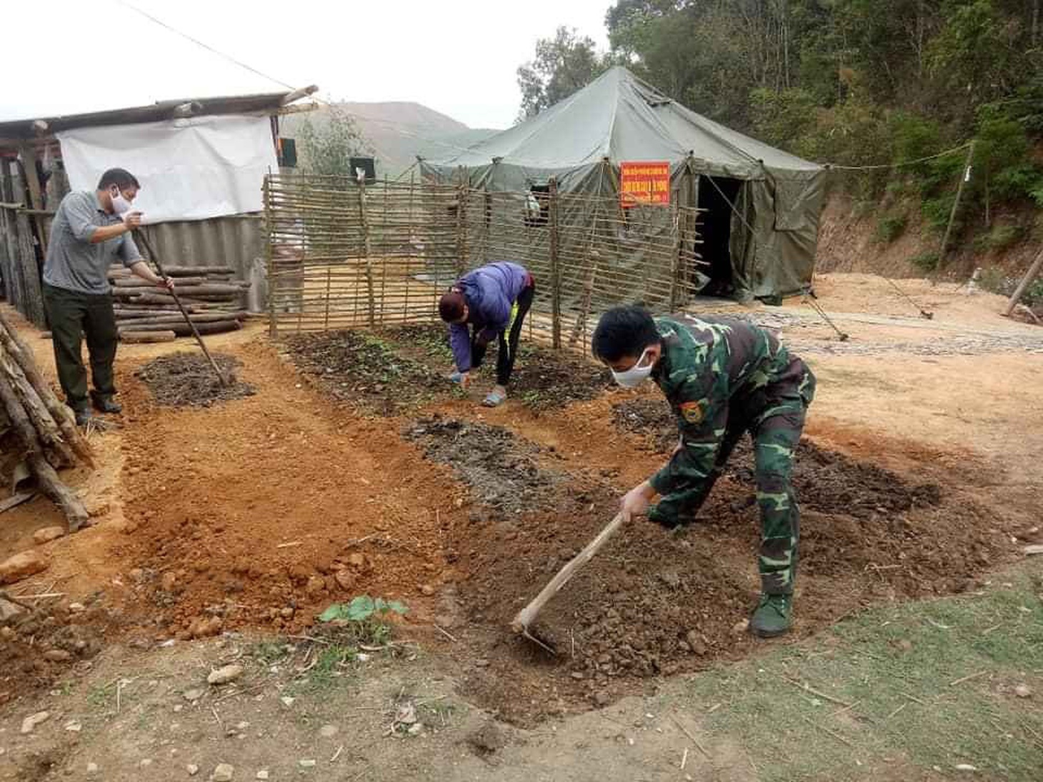 Thương lắm lon rau xanh mọc ngay chốt trực COVID-19 vùng biên - Ảnh 10.