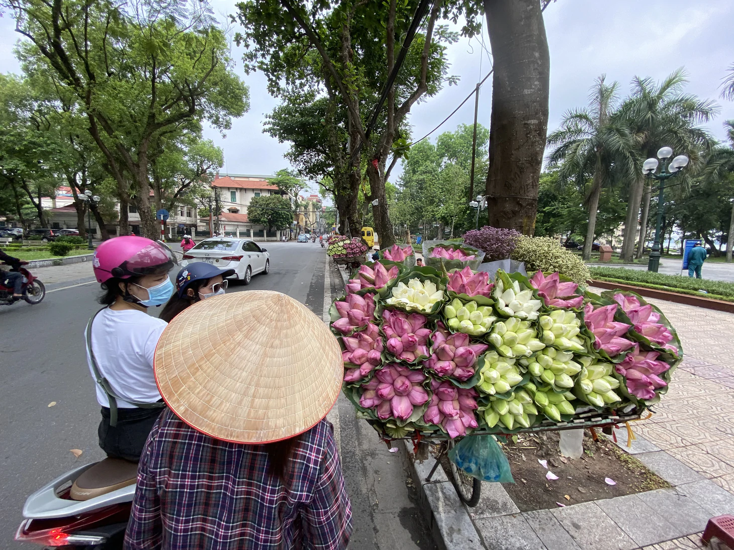 Người Hà Nội ‘hít hà’ không khí dịu mát sau những ngày ‘như thiêu như đốt’ - Ảnh 1.