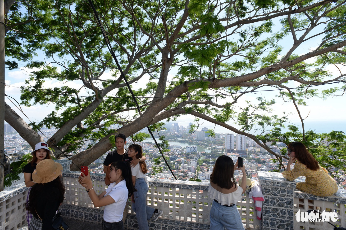 Rợp trời con đường hoa phượng đỏ ở Vũng Tàu - Ảnh 8.