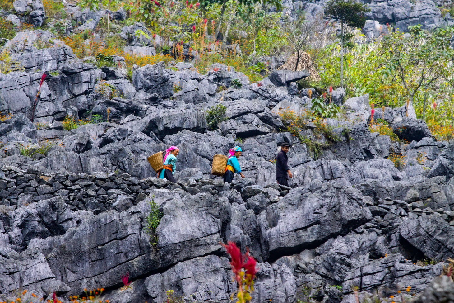 Tôi có hẹn với Hà Giang - Ảnh 3.