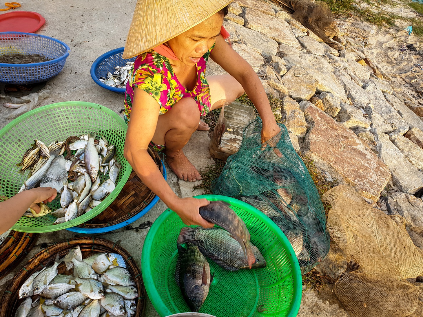 Vẻ đẹp trù phú của vùng nước Tam Giang - Cầu Hai - Ảnh 8.