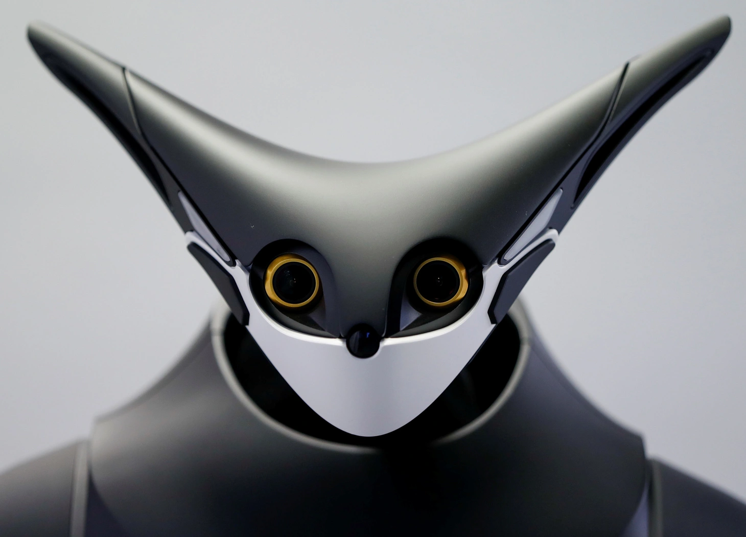 Robot kangaroo làm nhân viên của FamilyMart ở Nhật - Ảnh 7.