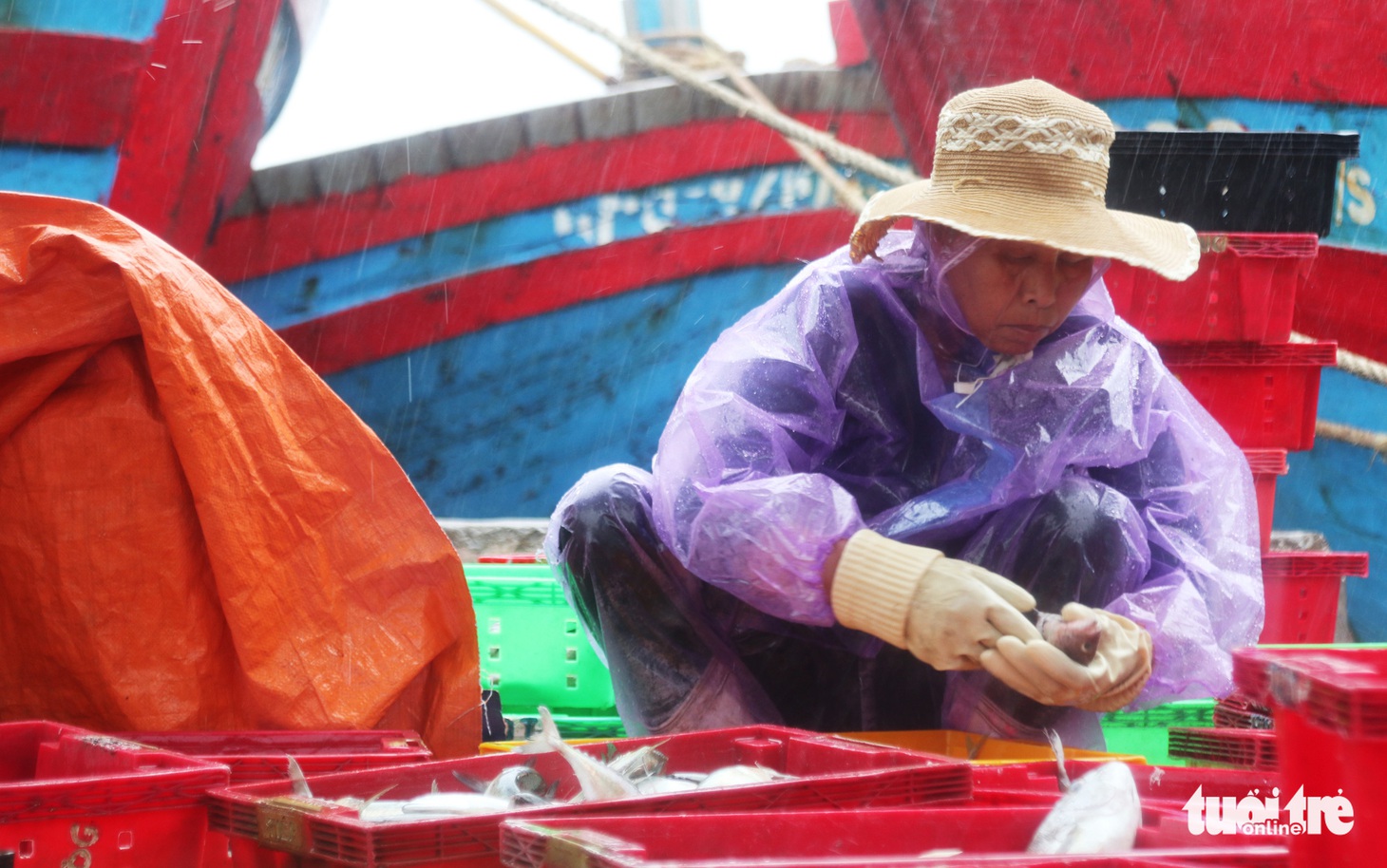 Ngư dân hối hả đưa hải sản vào bờ tránh bão số 2 - Ảnh 5.
