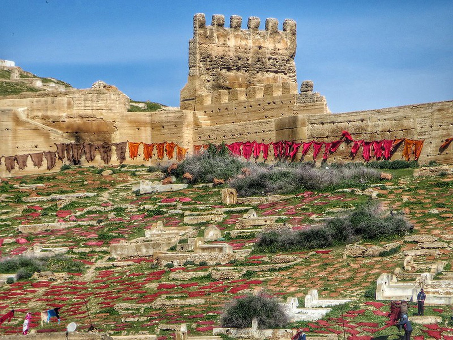 Những xưởng thuộc da truyền thống đẹp như họa phẩm ở Morocco - Ảnh 9.