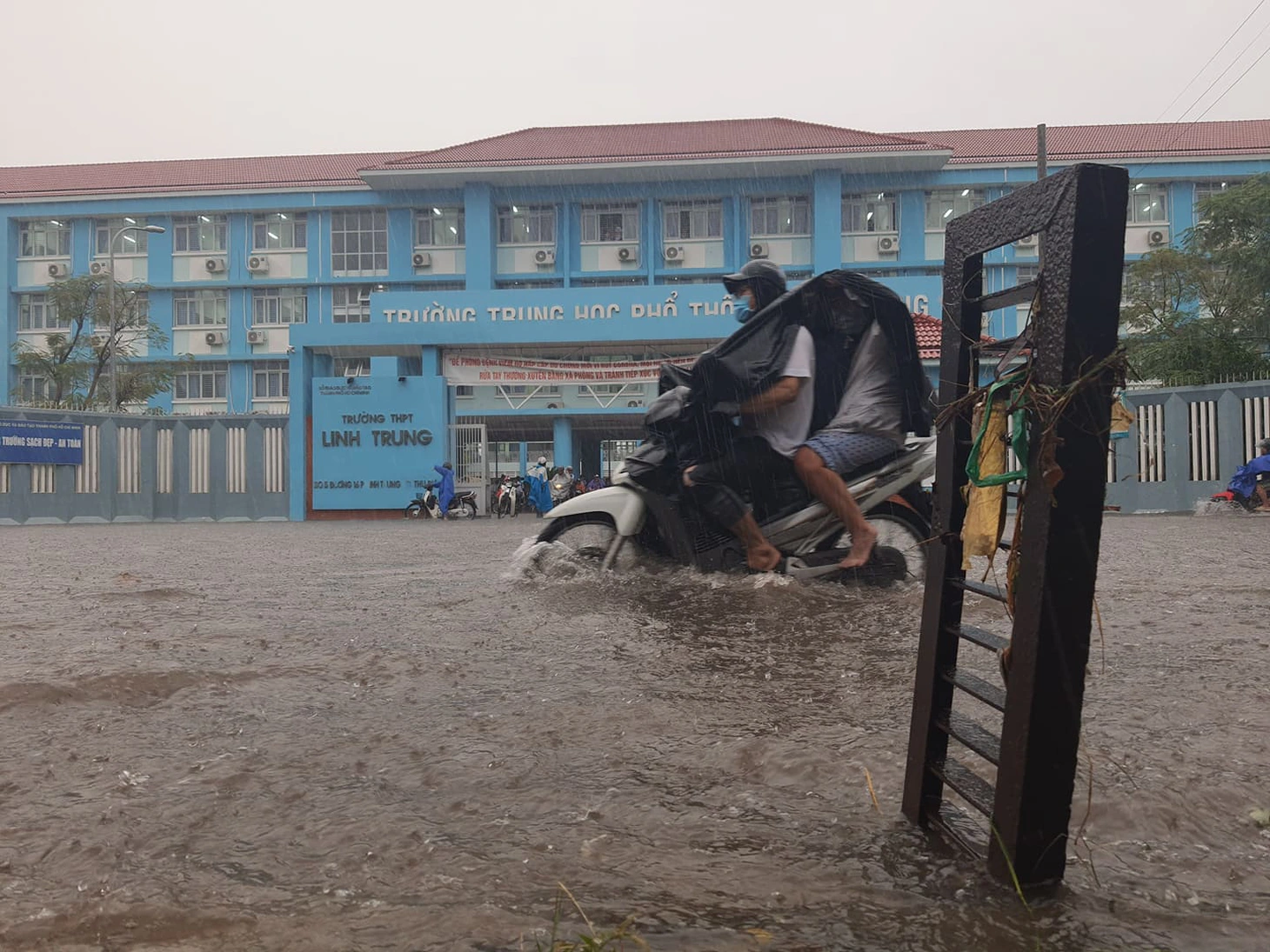 Cây bật gốc đổ ngang đường Nguyễn Tri Phương làm 1 người bị thương, ngập và kẹt xe nhiều nơi - Ảnh 8.
