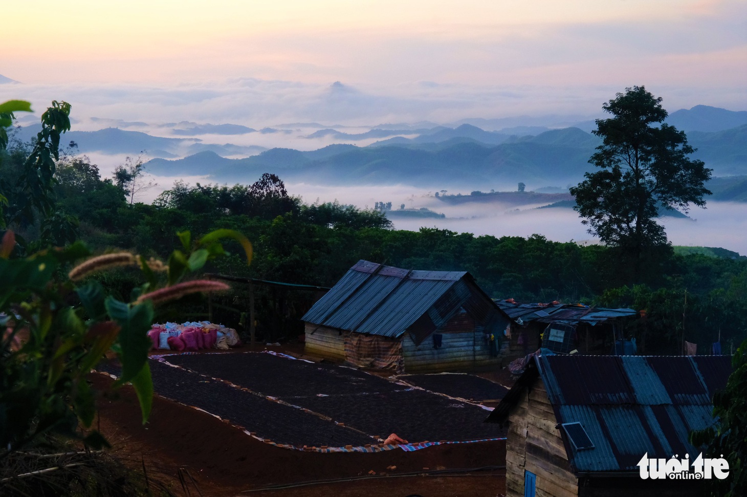 Chợ phiên Tây Bắc giữa lòng Tây Nguyên - Ảnh 10.