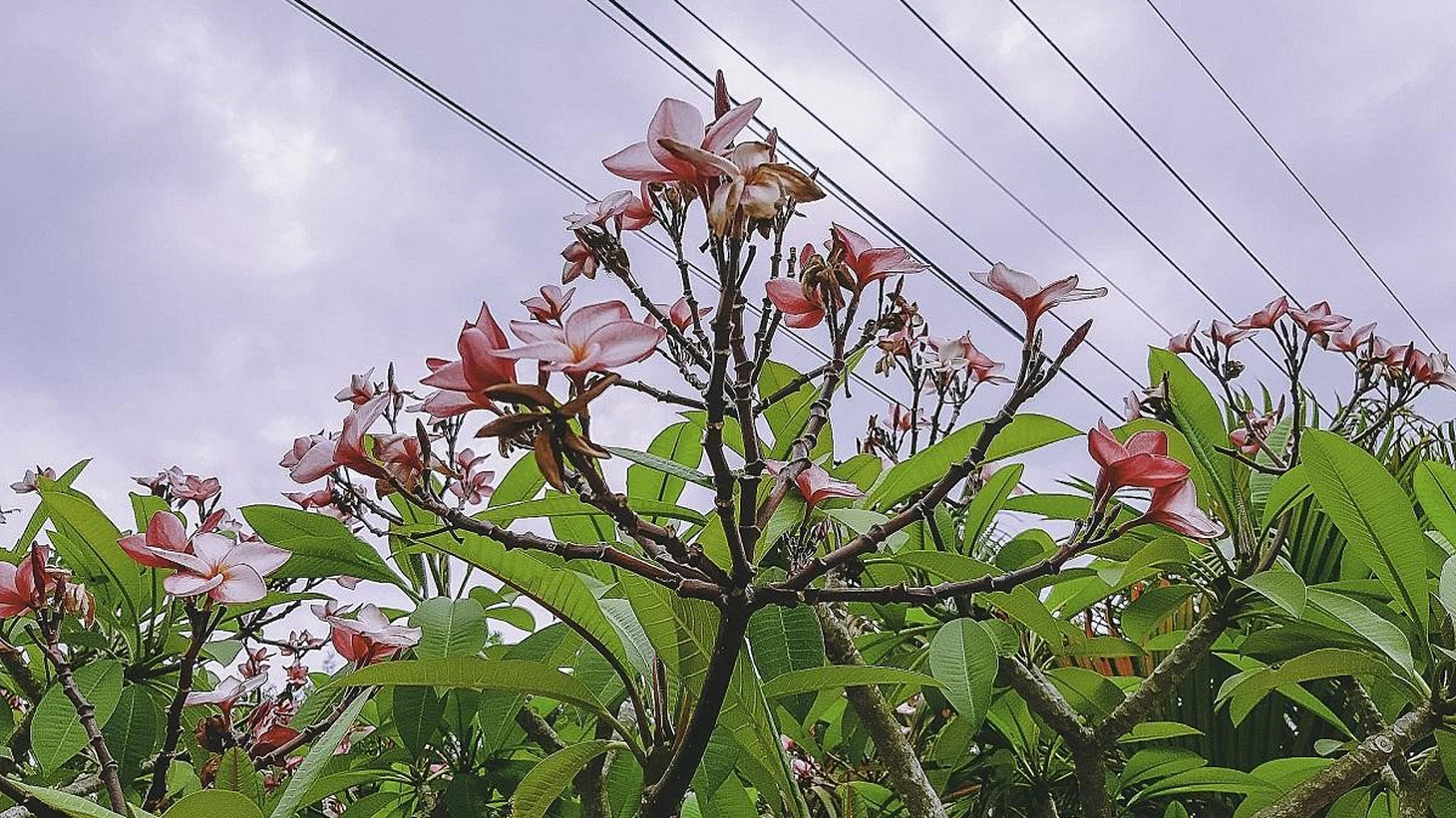Cuộc thi Nhà tôi - Mái ấm: Giữ chút gì rất Huế... - Ảnh 4.