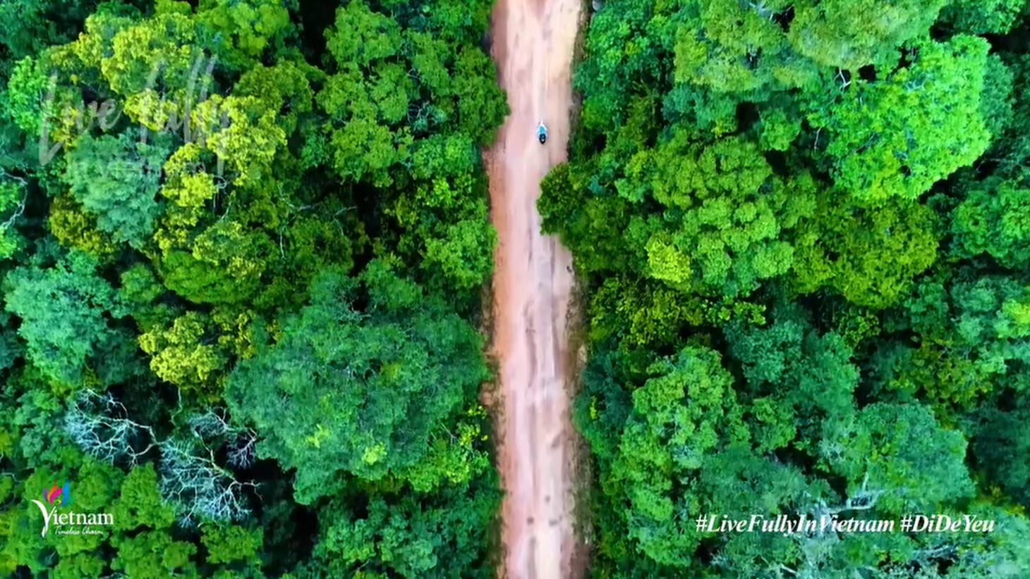 Cảnh sắc tuyệt đẹp trong video Việt Nam: Đi để yêu! - Sống trọn vẹn ở Việt Nam - Ảnh 5.