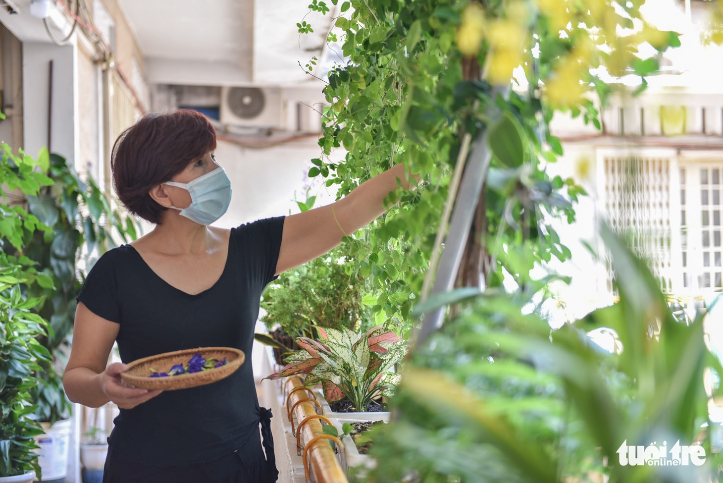 Chung cư gần 70 năm tuổi ở Sài Gòn vẫn xanh sạch, vì sao? - Ảnh 5.