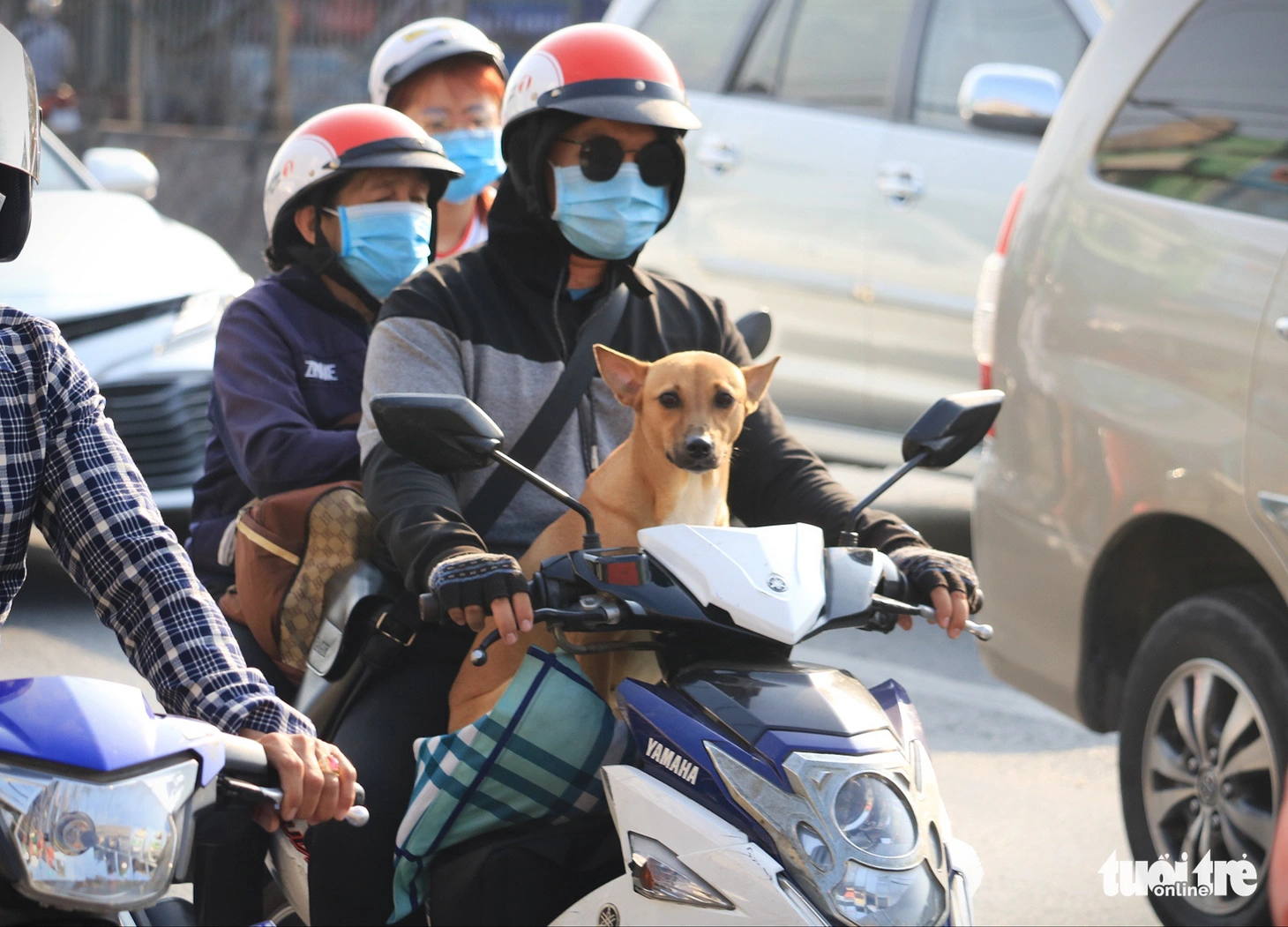 Bà con các tỉnh trở lại Sài Gòn sau Tết thưa hơn mọi năm, bến xe vẫn siết phòng dịch - Ảnh 5.