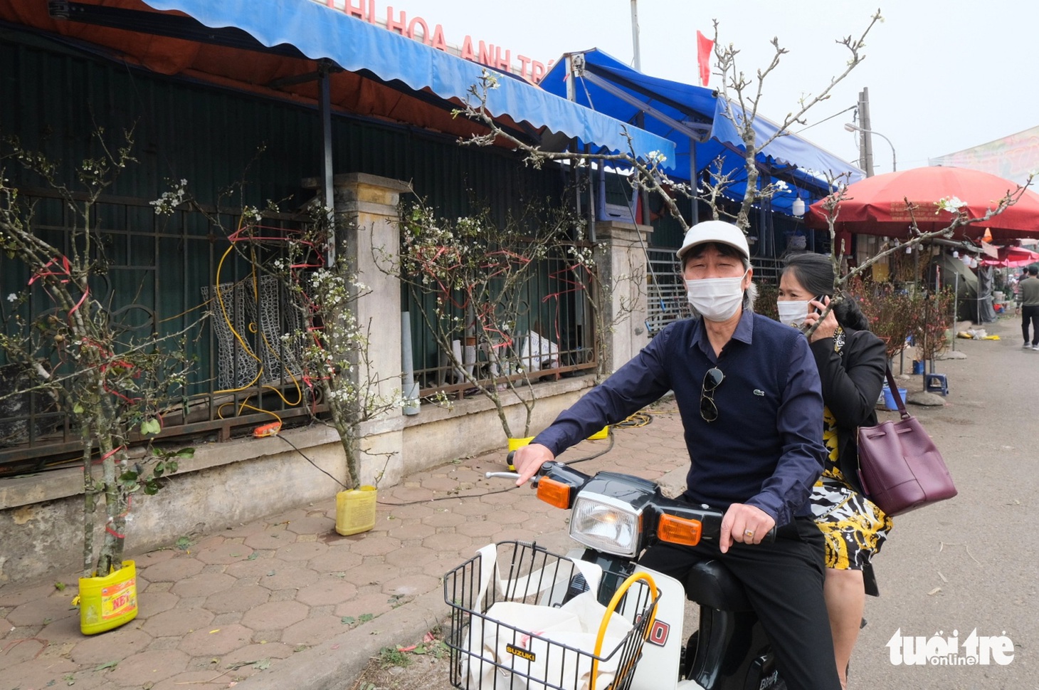 Ngẩn ngơ ngắm hoa lê trắng muốt xuống phố Hà thành - Ảnh 3.