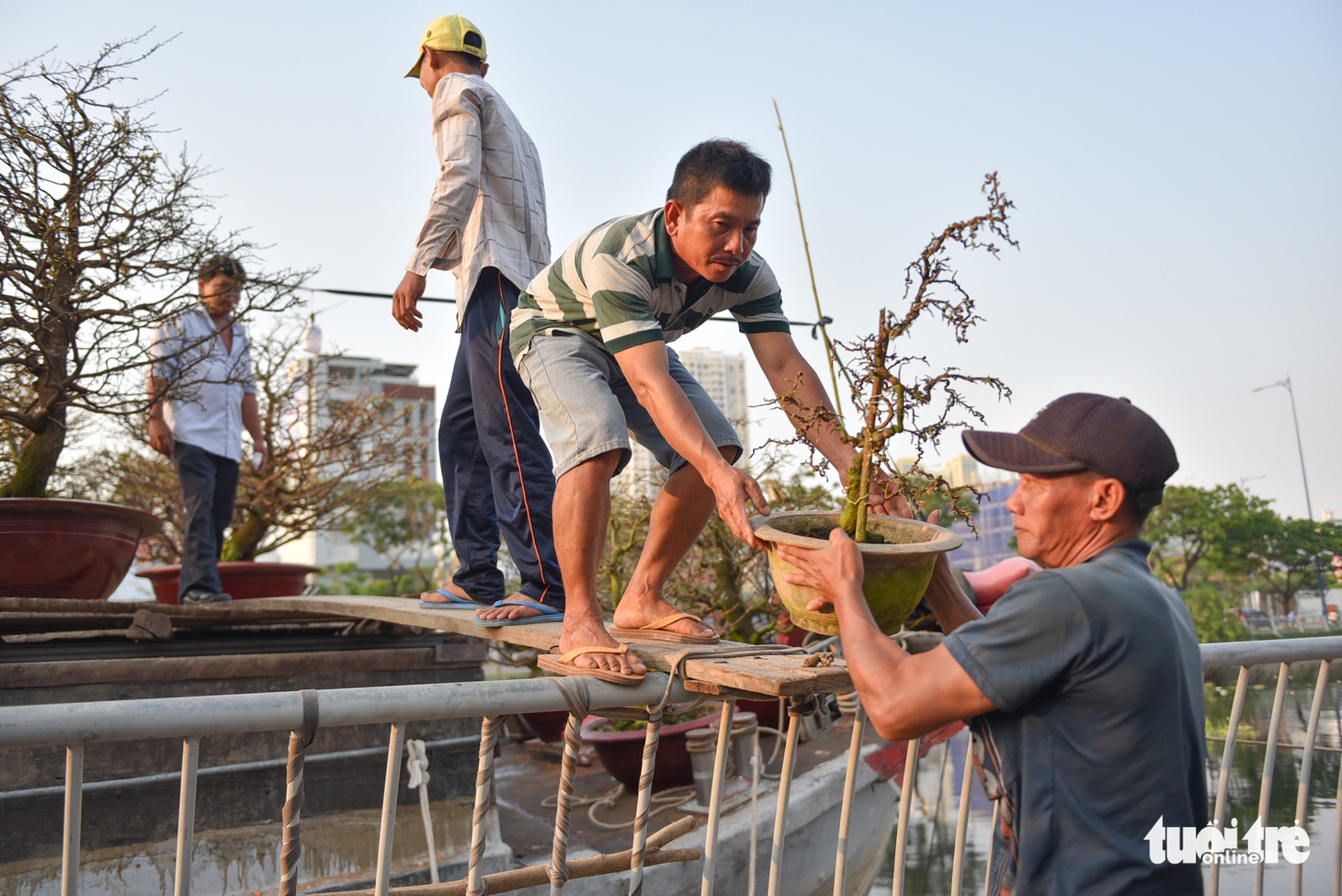 Thuyền hoa cập Bến Bình Đông chở tết đến Sài Gòn - Ảnh 3.