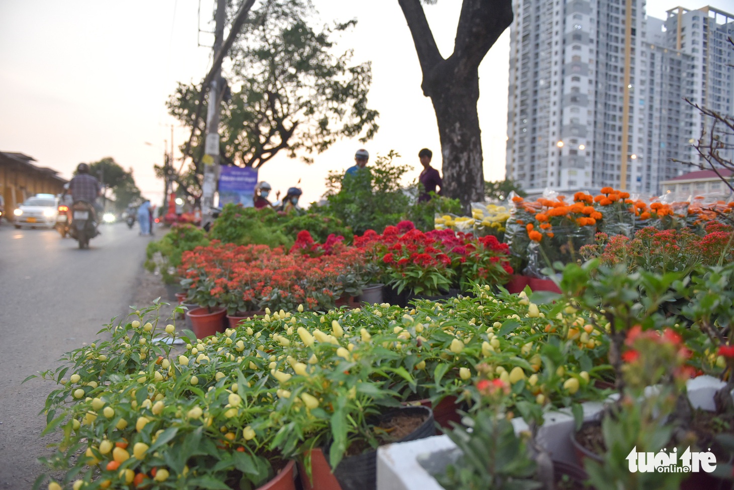 Thuyền hoa cập Bến Bình Đông chở tết đến Sài Gòn - Ảnh 11.