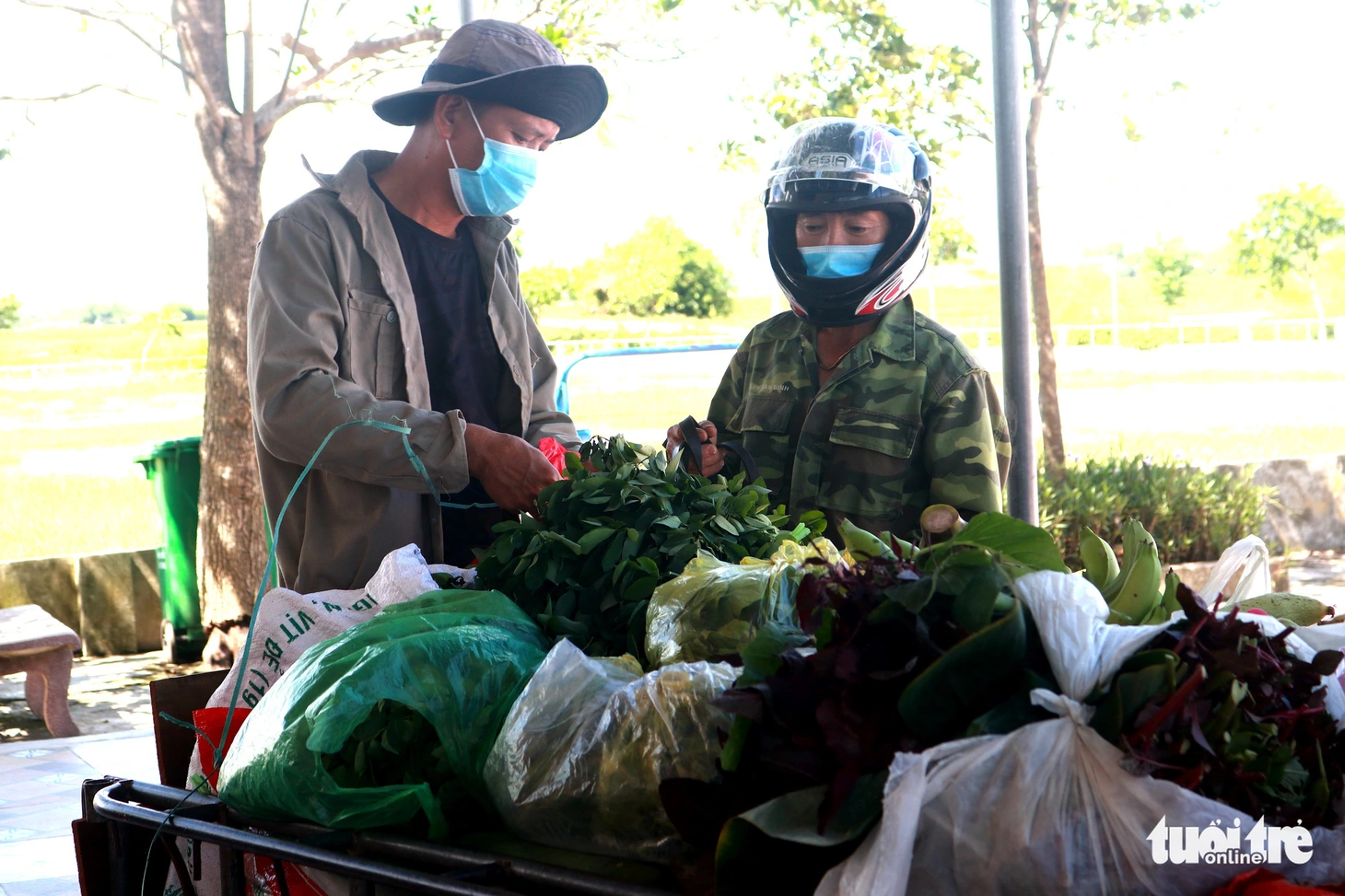 Em chỉ có mớ rau vườn với 50.000 tiền bắt cua đồng hồi sáng - Ảnh 1.