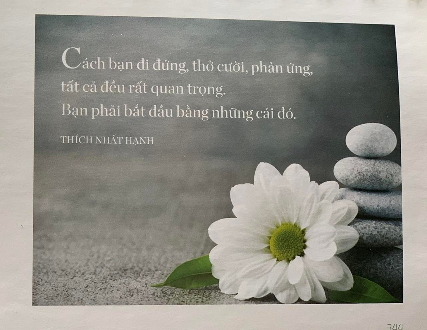Tiếp xúc sâu sắc với hiện tại cùng thiền sư Thích Nhất Hạnh - Ảnh 9.