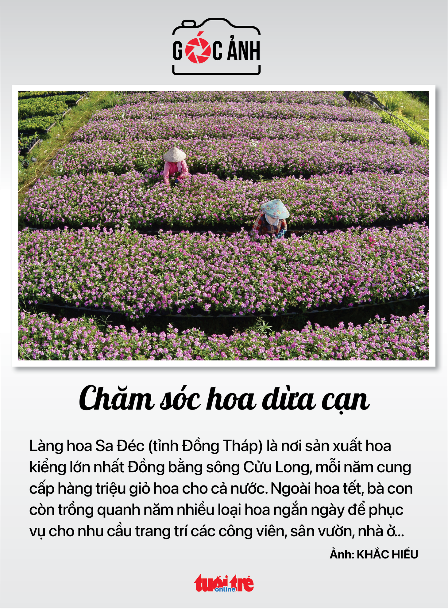 Tin sáng 24-11: TP.HCM họp phát quang bờ sông Sài Gòn ngăn xả rác bậy - Ảnh 5.