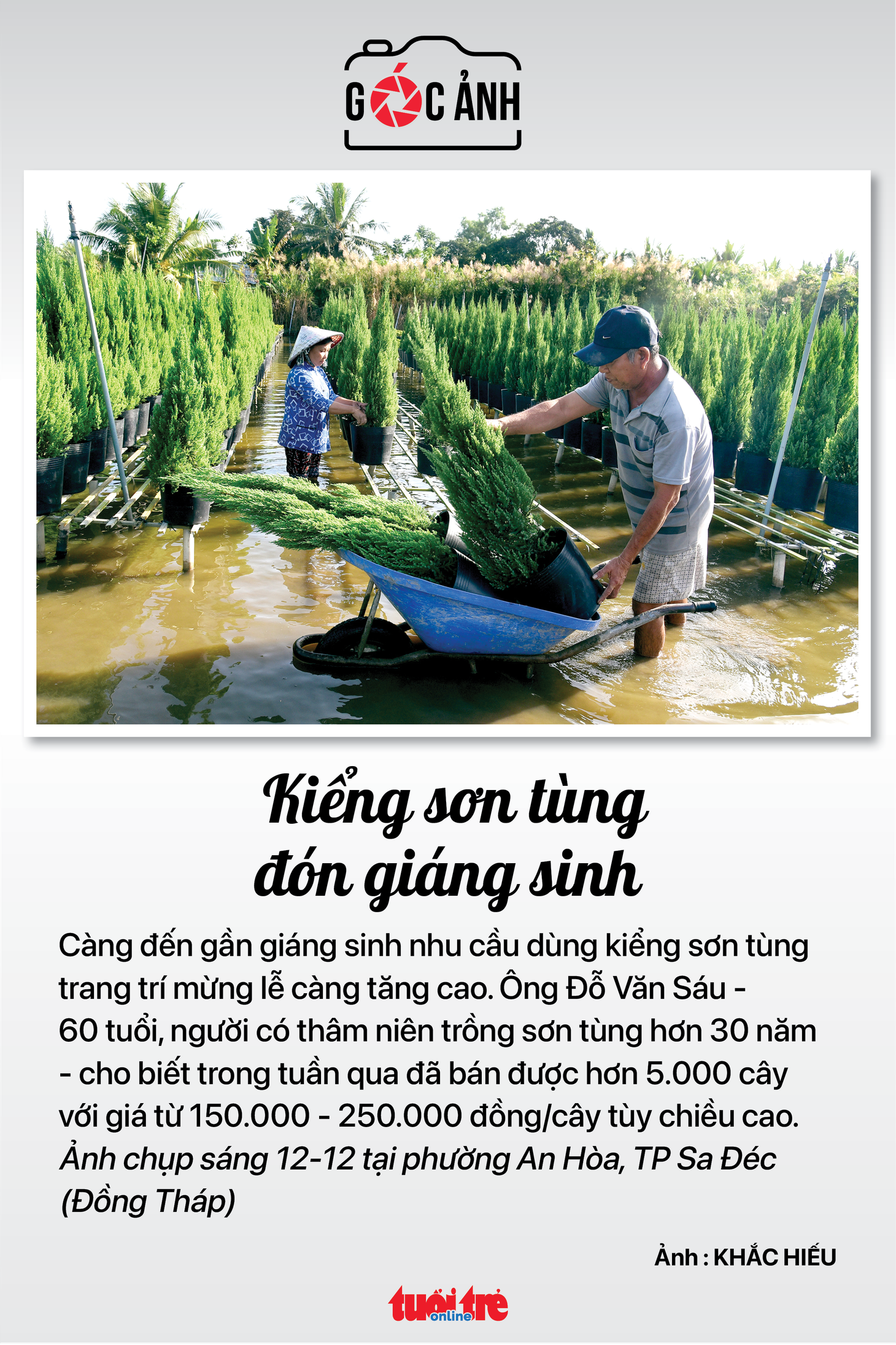 Tin tức sáng 13-12: Trùm buôn lậu Mười Tường lại hầu tòa; Tâm lý găm USD được giải tỏa - Ảnh 9.