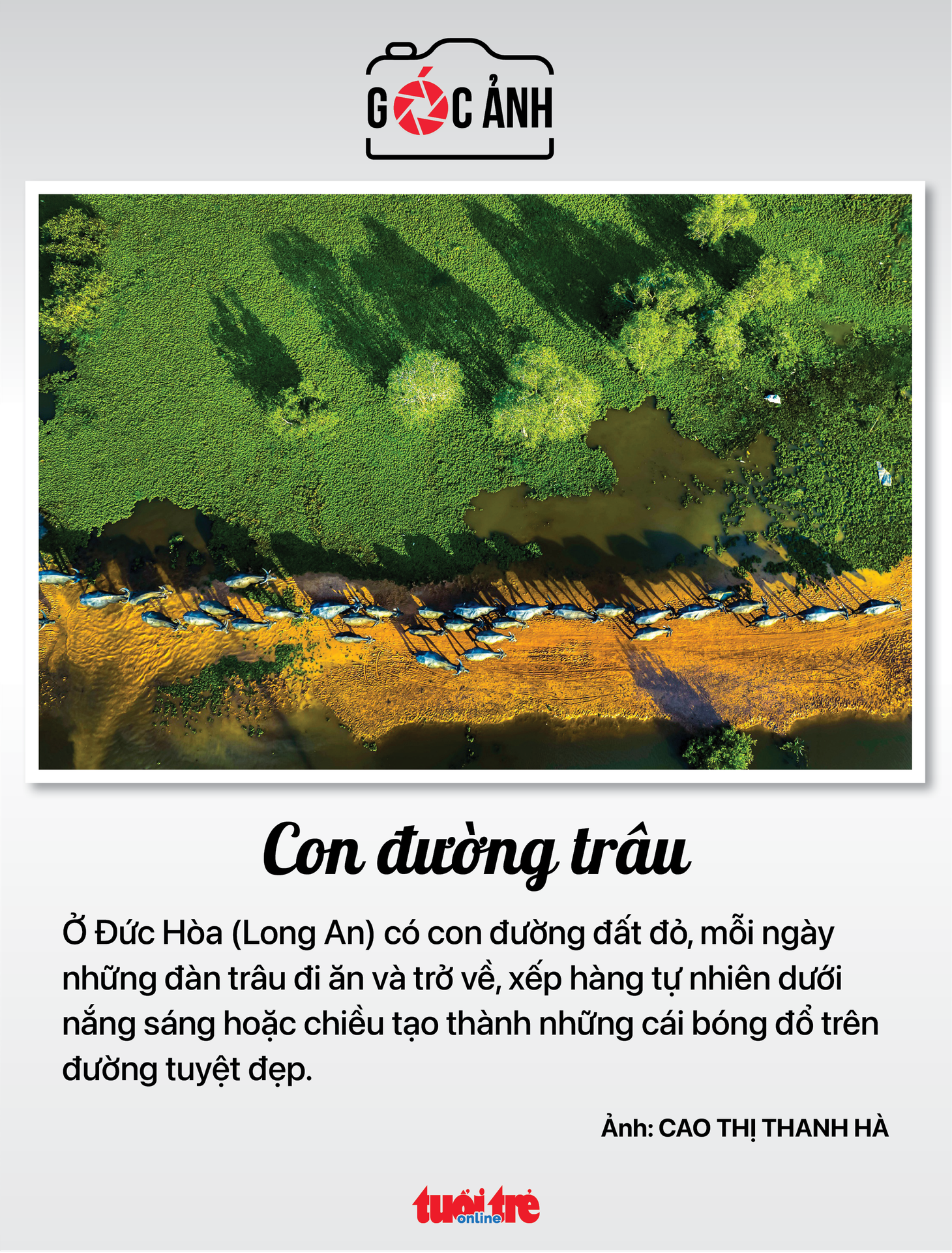 Tin tức sáng 25-12: Tổng giáo phận TP.HCM kêu gọi giáo dân thực thi bác ái; FUMANBREAK chứa chất cấm - Ảnh 9.
