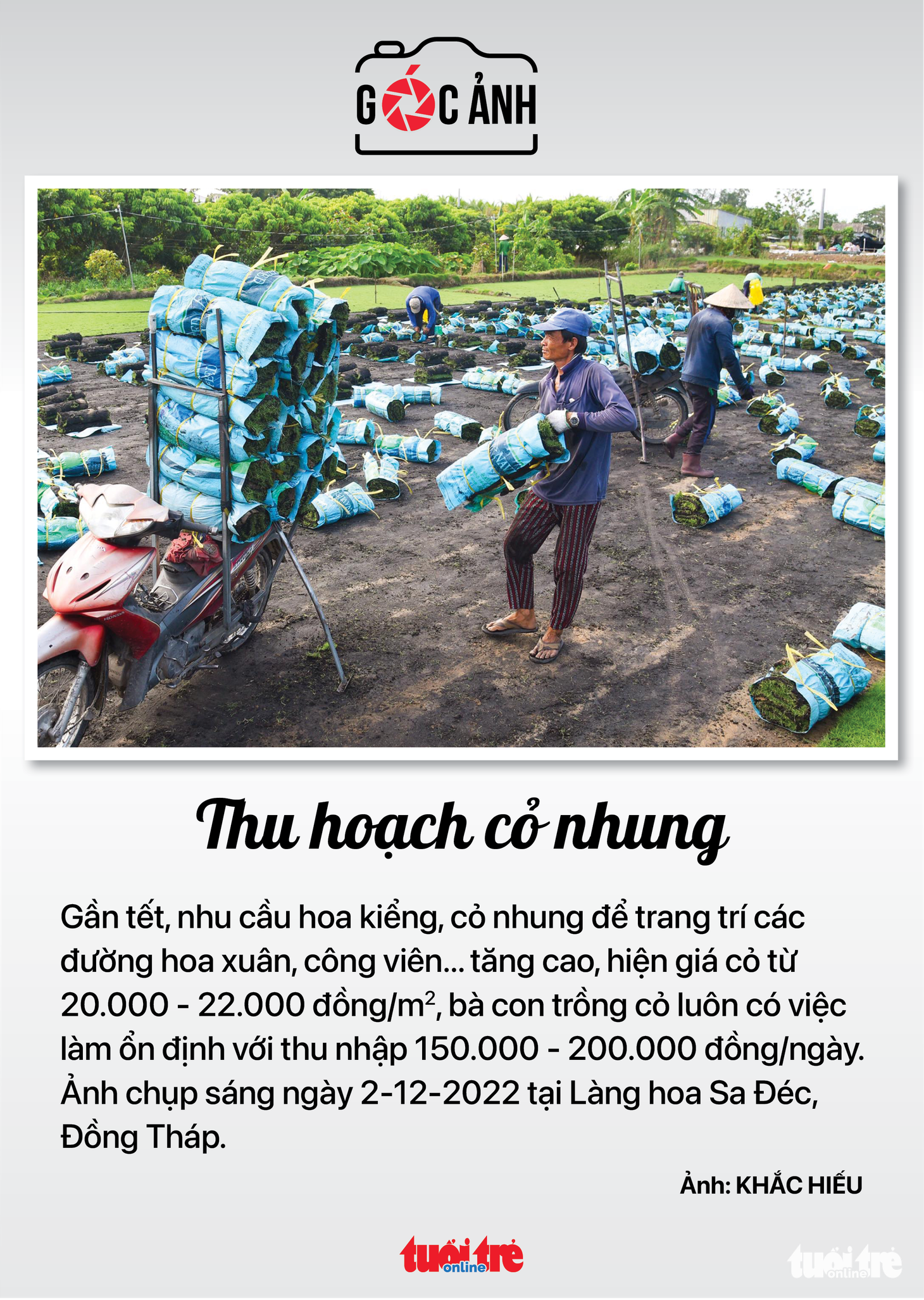 Tin tức sáng 3-12: TP.HCM thanh tra 15 đơn vị sử dụng đất; Ca COVID-19 cao nhất 3 tuần qua - Ảnh 8.
