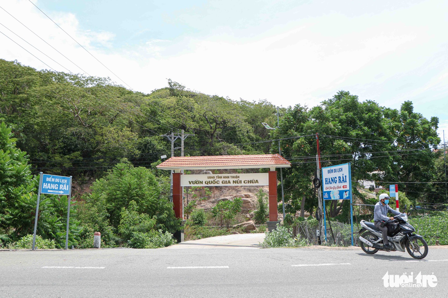 Mê mẩn khung cảnh biển, núi và rừng trên cung đường ven biển Ninh Thuận - Khánh Hòa - Ảnh 6.