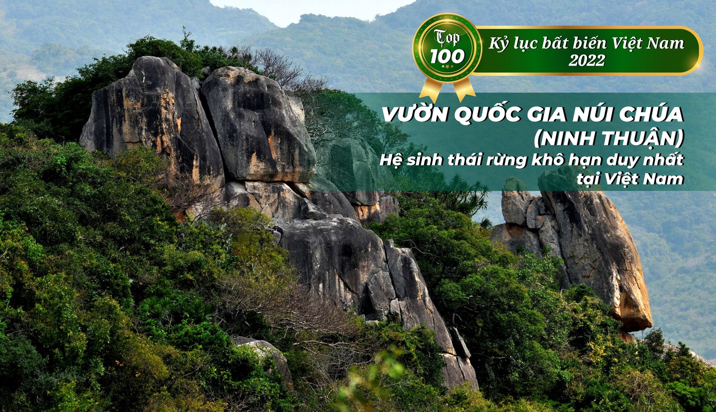 Thảo cầm viên Sài Gòn, cầu Sông Hàn, làng lụa Vạn Phúc… xác lập kỷ lục bất biến - Ảnh 13.