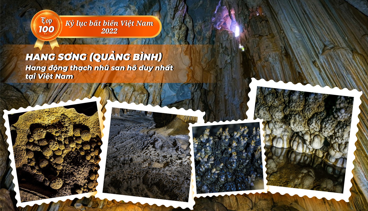 Thảo cầm viên Sài Gòn, cầu Sông Hàn, làng lụa Vạn Phúc… xác lập kỷ lục bất biến - Ảnh 15.