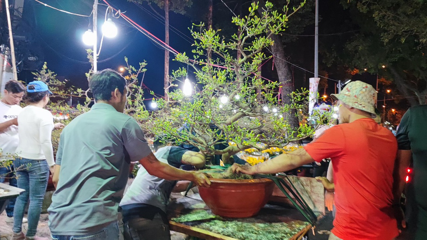 Hoa Tết: sức mua đã tăng - Ảnh 2.