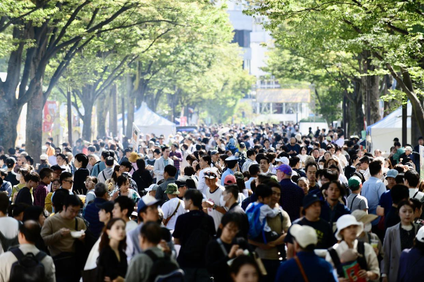 Thực khách thưởng thức phở tại công viên Yoyogi, Tokyo, Nhật Bản sáng 7-10
