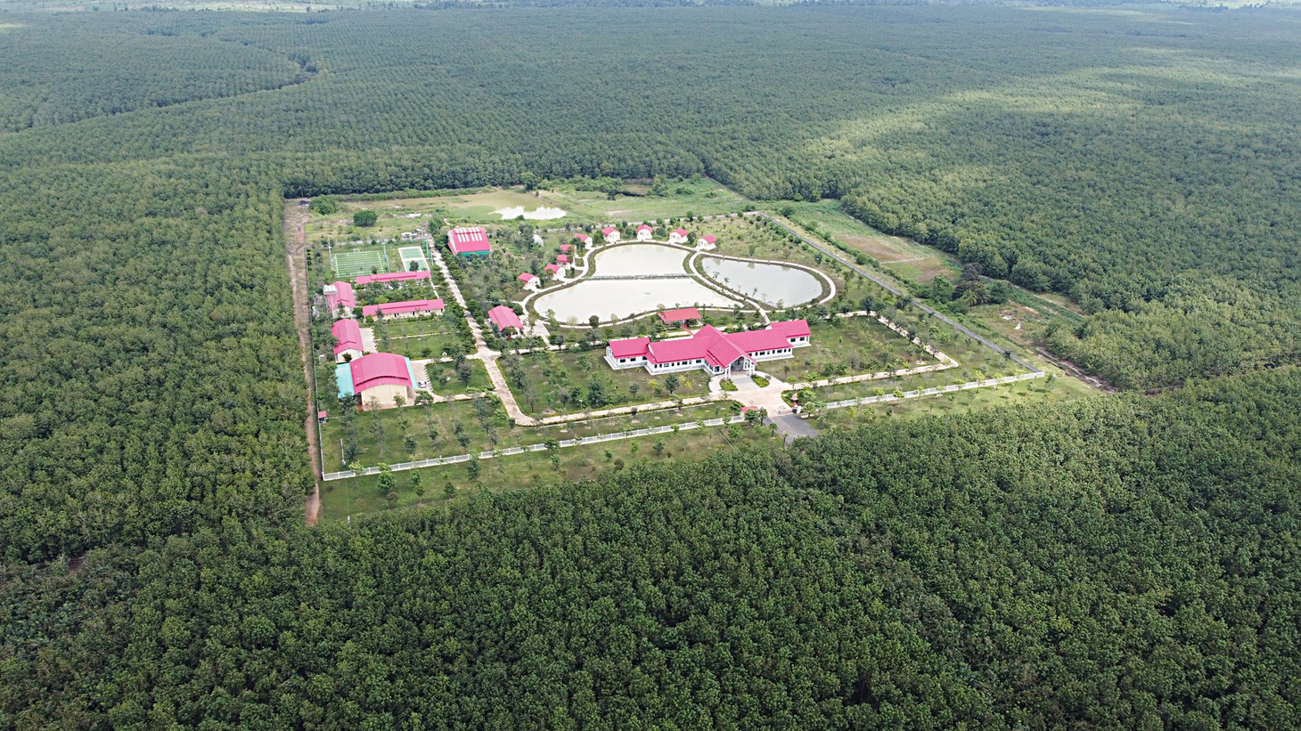 Trụ sở Công ty CPCS Chư Sê Kampong Thom nằm giữa 16.200ha cao su, được đánh giá là vườn cao su đẹp nhất Campuchia - Ảnh: SƠN LÂM