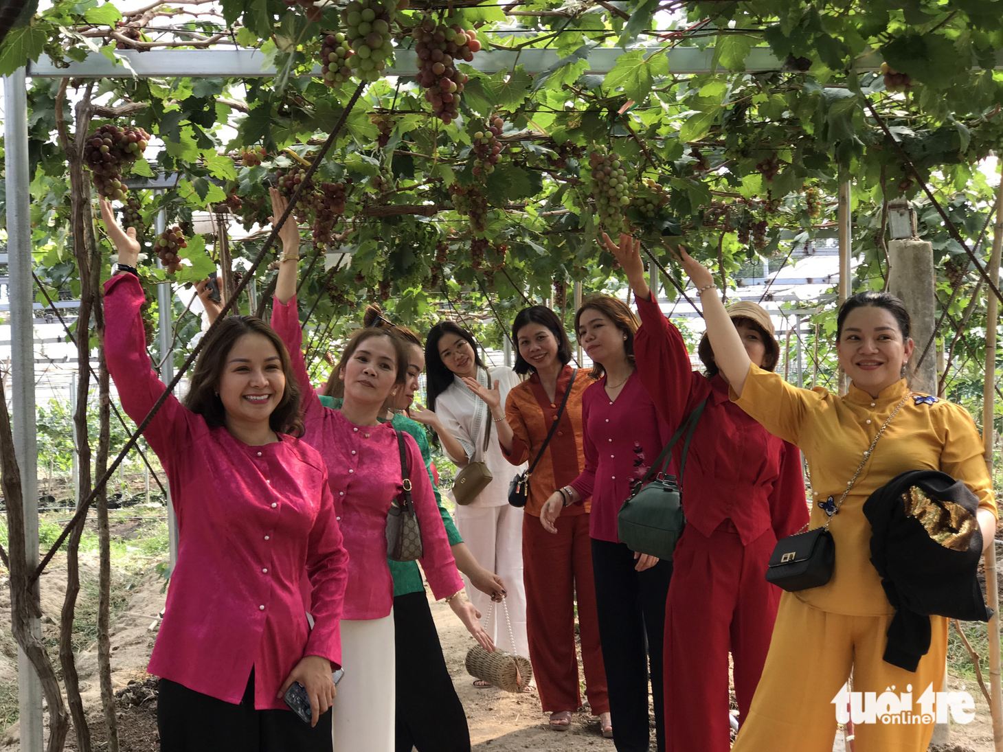 Về Bảy Núi vượt dốc đá, đi xuyên rừng, chiều cắm trại ngắm hoàng hôn - Ảnh 5.