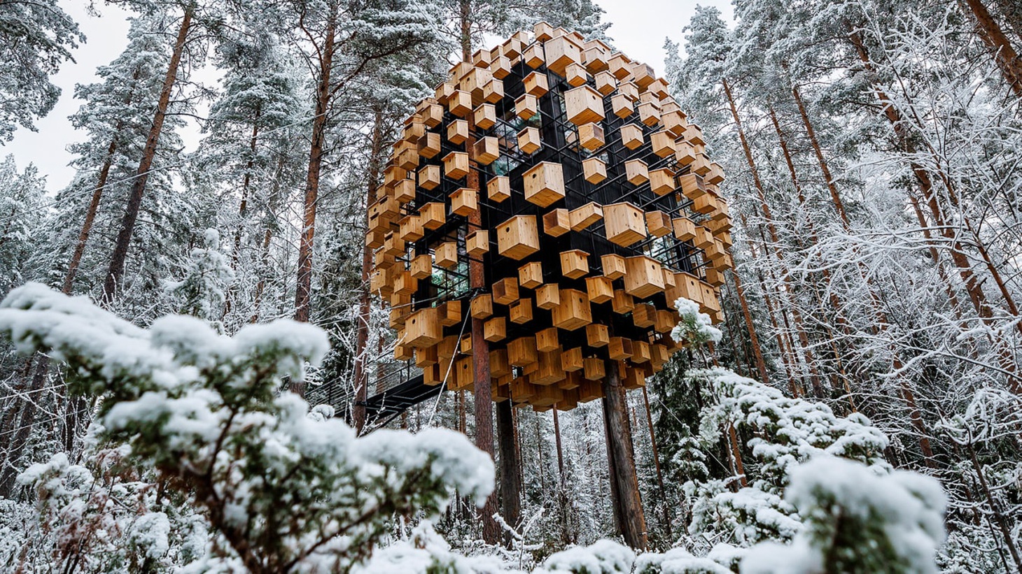 Treehotel của Bjarke Ingels Group gồm 350 "chuồng chim" để đón khách là người và cả... chim - Ảnh: CNN