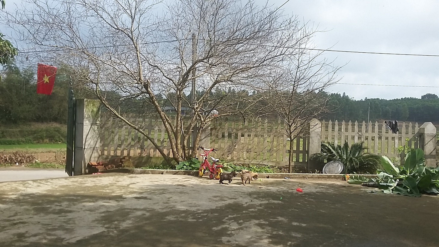 Có những ngôi nhà không cũ nổi trong ta… - Ảnh 3.