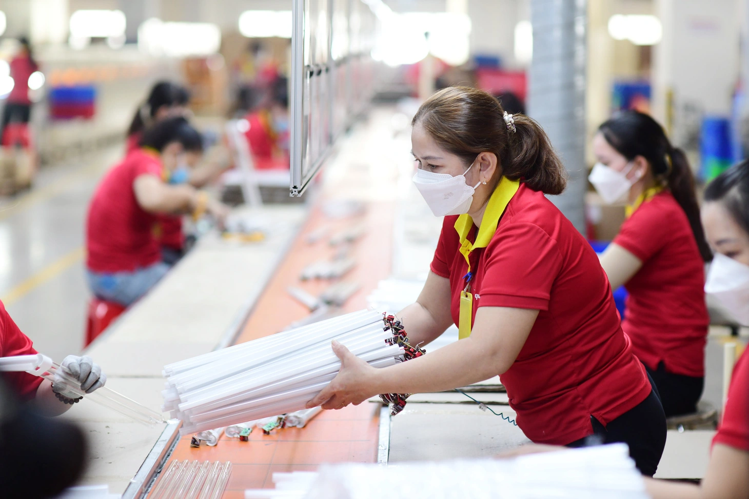 Công nhân làm việc tại Công ty TNHH MTV công nghệ cao Điện Quang trong Khu công nghệ cao TP.HCM - Ảnh: QUANG ĐỊNH