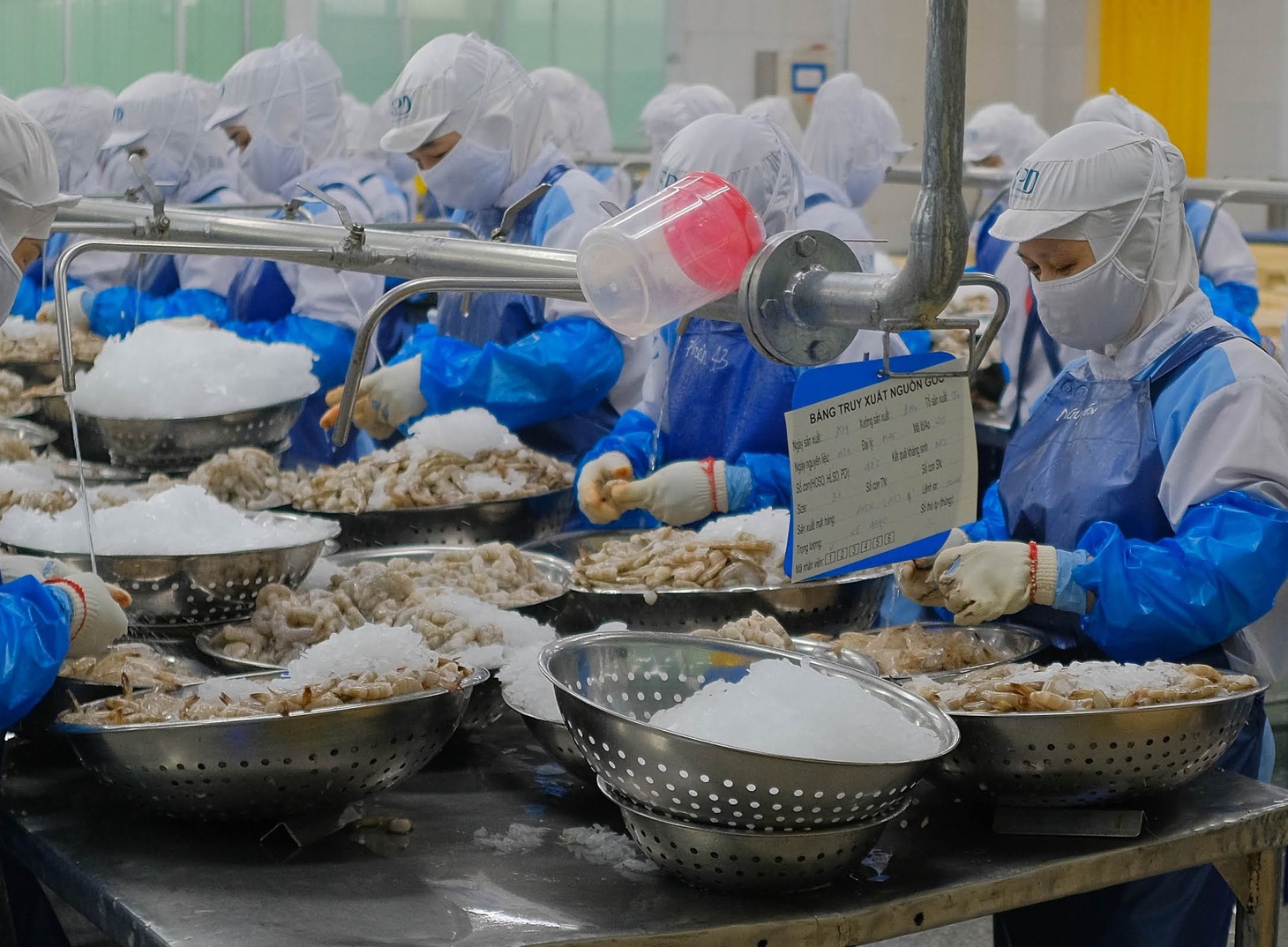 Công nhân chế biến tôm xuất khẩu tại một doanh nghiệp trong Khu công nghiệp dịch vụ thủy sản Đà Nẵng - Ảnh: TẤN LỰC