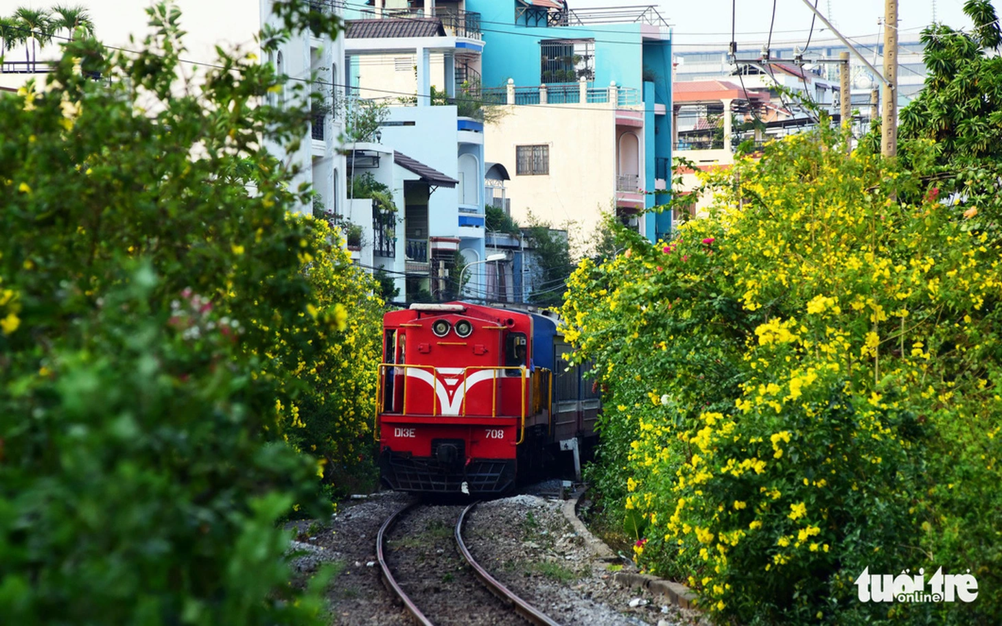 Mơ 3.100km đường tàu thành đường hoa dài nhất Việt Nam - Ảnh 3.