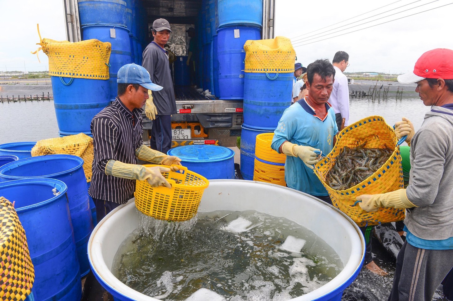 Xuất khẩu thủy sản tăng trưởng âm thấp nhất trong 6 tháng qua - Ảnh: QUANG ĐỊNH