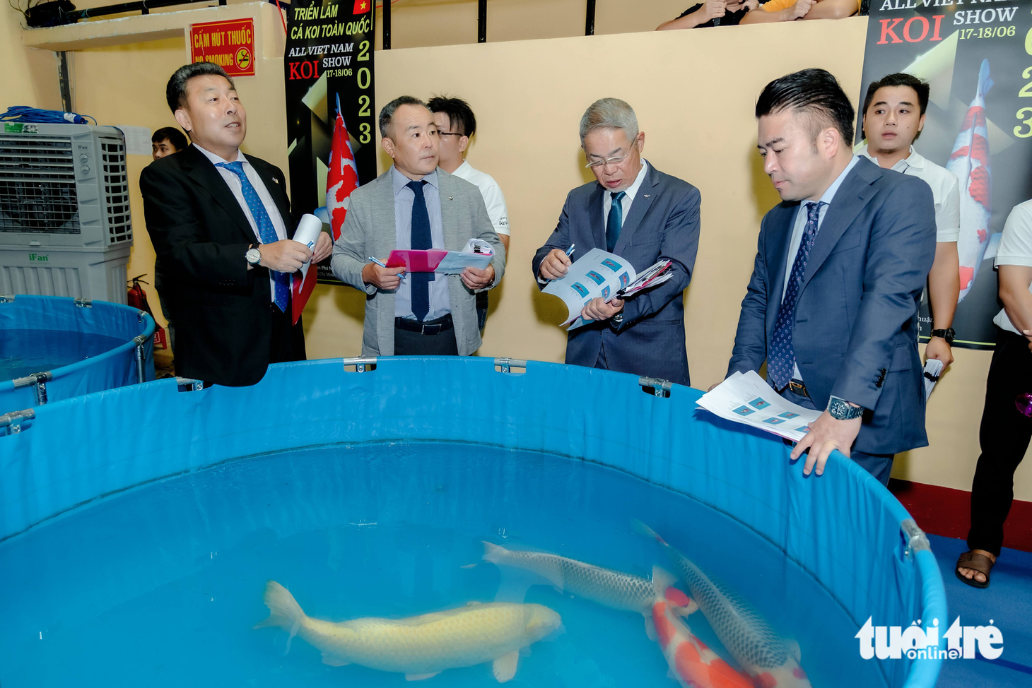Gần 600 con cá koi tham gia cuộc thi ‘hoa hậu’ cá koi - Ảnh 1.
