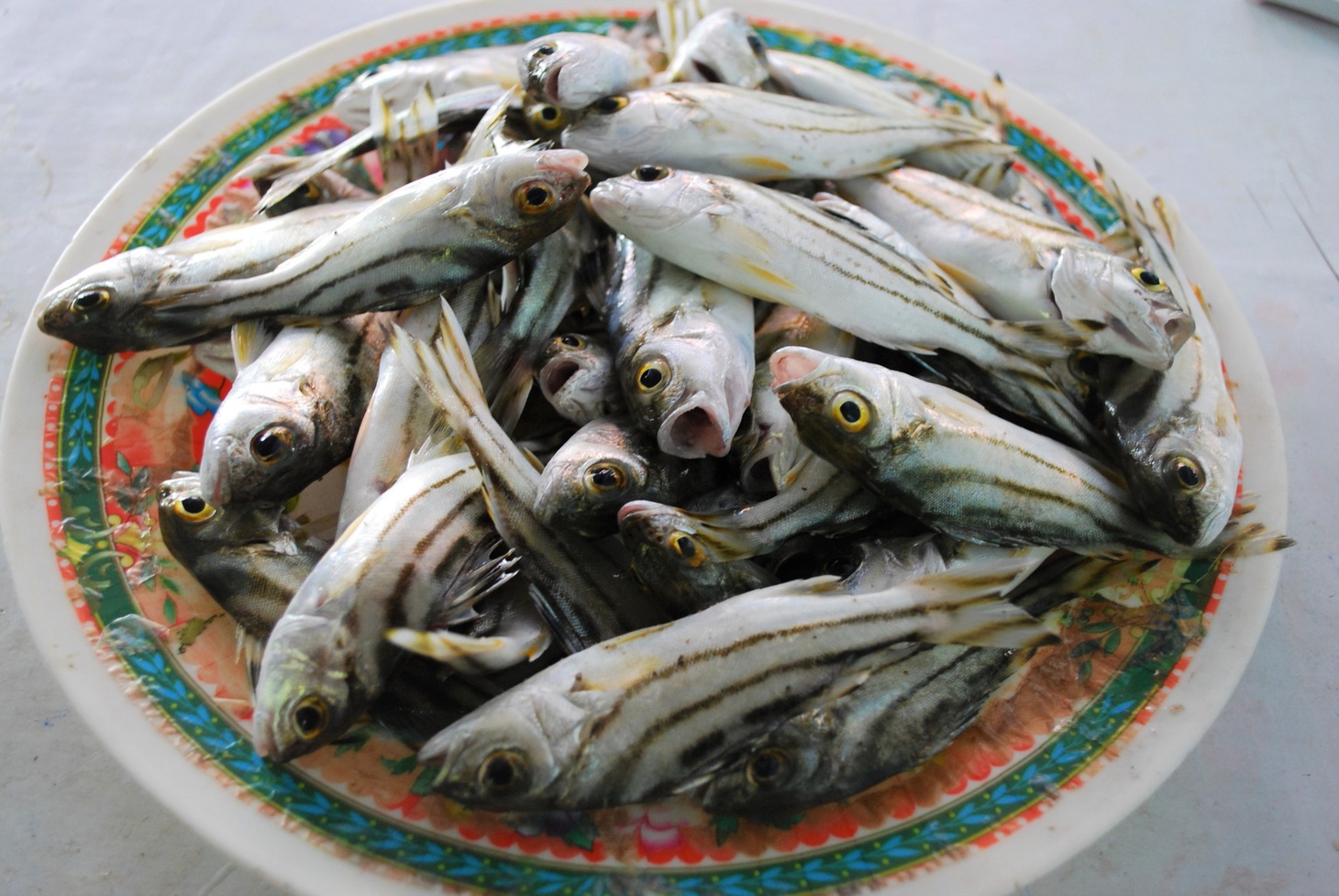 Cá căn nấu canh thơm, bao nhiêu cơm cũng hết - Ảnh 1.