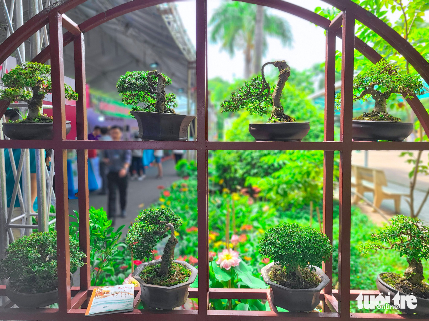 ‘Săn’ giống cây lạ tại Hội chợ triển lãm giống, nông nghiệp công nghệ cao 2023 - Ảnh 6.