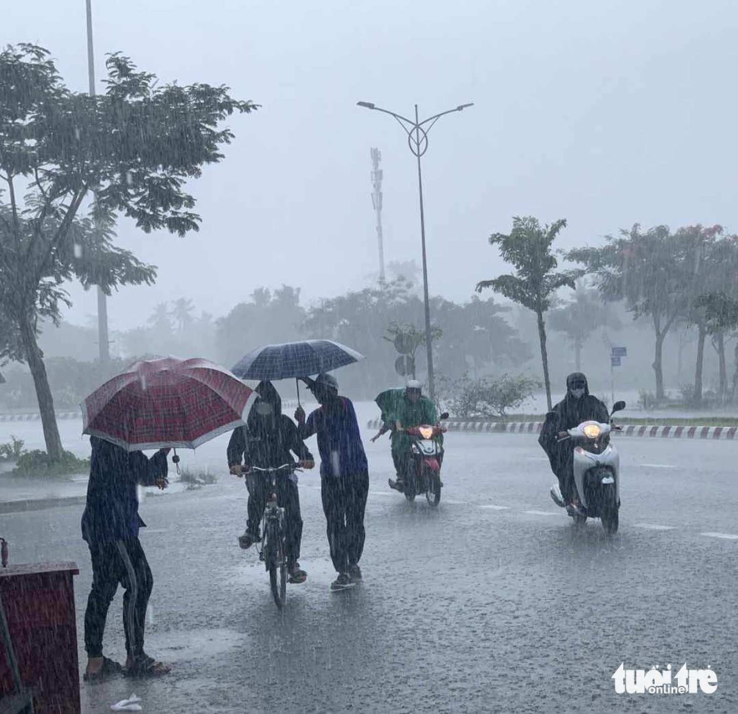 Đồng Tháp bất ngờ có mưa lớn kéo dài từ trưa cho đến hết buổi thi môn tiếng Anh. Mặc dù vậy các thí sinh rất vui mừng hoàn thành môn thi cuối. Tại điểm thi THPT Đỗ Công Tường, thí sinh Nguyễn Quốc Khánh cho biết: "Đề tiếng anh hơi khó so với khả năng của em. Em làm được khoảng 6- 7 điểm, các bạn khá giỏi có thể trên 8 điểm". Ảnh: Thanh niên tình nguyện hỗ trợ thí sinh vào điểm thi giữa trời mưa lớn tại trường THPT Đỗ Công Tường (Đồng Tháp) - Ảnh: ĐẶNG TUYẾT